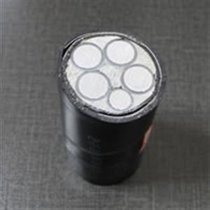 NH-YJLHV22鋁合金輻照交聯聚乙烯絕緣鋼帶鎧裝聚氯乙烯護套耐火電纜